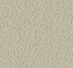 Parallel Grace Colors - Image 8