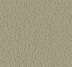 Parallel Grace Colors - Image 9