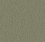 Parallel Grace Colors - Image 10