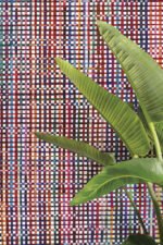 Extravaganza - Image 6