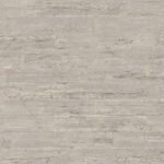 Curiosity A - Image 3