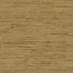 Curiosity A - Image 6