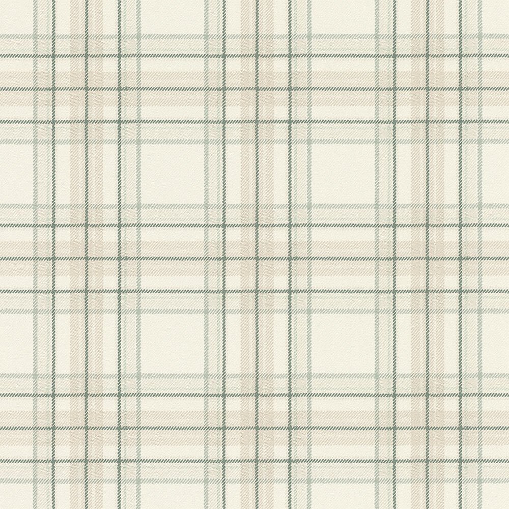 537437 Curiosity C - Image 1