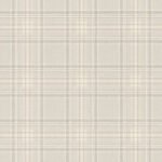 Curiosity C - Image 3