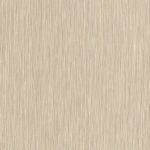 Curiosity D - Image 3