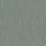 Curiosity D - Image 6