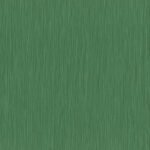 Curiosity D - Image 7