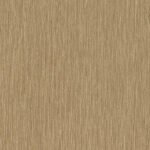 Curiosity D - Image 9