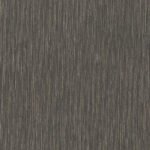 Curiosity D - Image 10