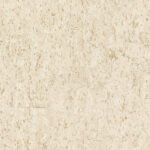 Curiosity J - Image 5