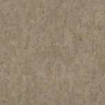 Curiosity J - Image 3