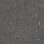 Curiosity J - Image 2