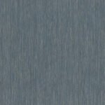 Curiosity H - Image 3