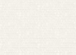 Click N - Image 5