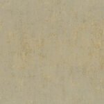 Borneo 3-1 - Image 3