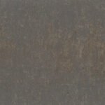 Borneo 3-1 - Image 4