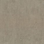 Borneo 3-1 - Image 5