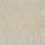 Borneo 3-1 - Image 6