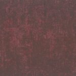 Borneo 3-1 - Image 9