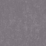 Borneo 3-1 - Image 10