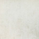 Borneo 3-2 - Image 6