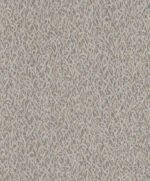 Taro - Image 4