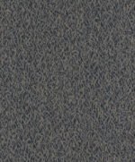 Taro - Image 3