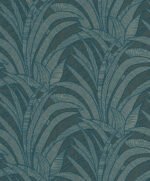 Tillandsia - Image 8