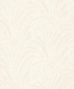 Tillandsia - Image 7