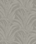 Tillandsia - Image 5