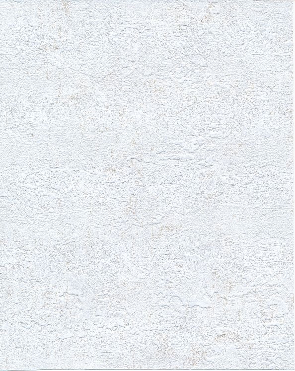 BL02-5011 Clegane - Image 1