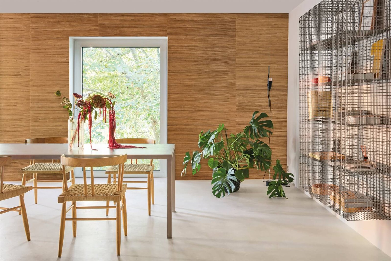 Intuition - INT262_1 Aesthetic - Image 1