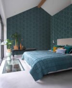 Tillandsia - Image 3