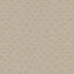 Sakura Plain - Image 11