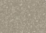 RC-P - Image 2