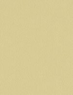 Paint-1 - Image 6