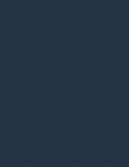 65438-16-450x584 Paint-1 - Image 1