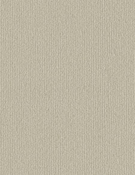 65506-6-450x584 Boucle-2 - Image 1