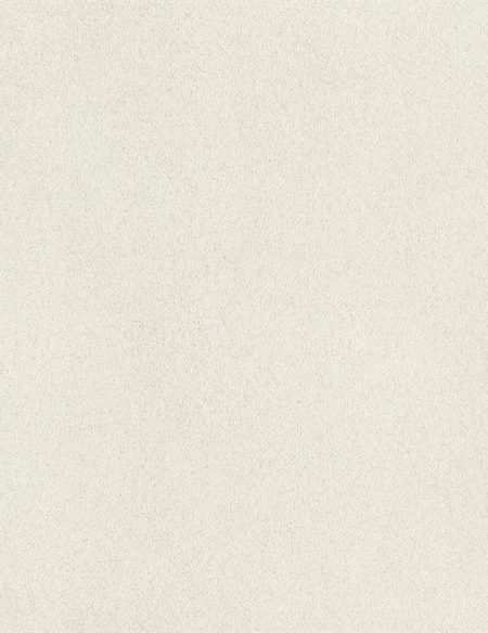 973006_640_0-450x584 WT L - Image 1