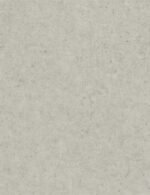 WT M - Image 3