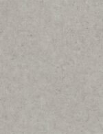 WT M - Image 4