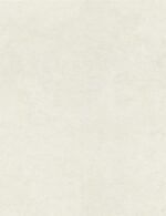 WT O - Image 3