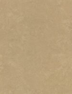 WT O - Image 7