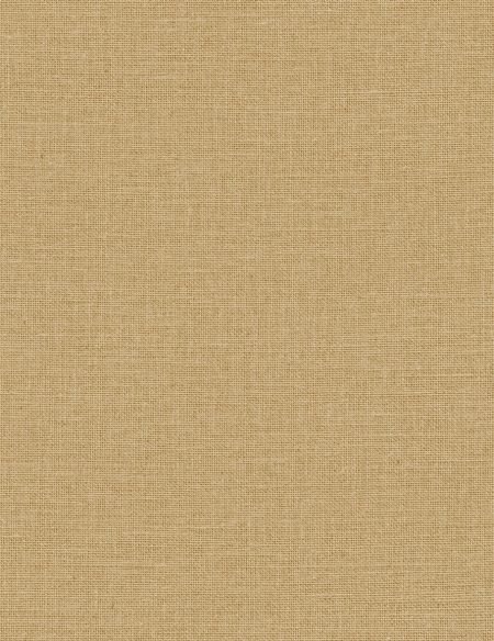 CASELIO_104011389-450x584 Jute A - Image 1