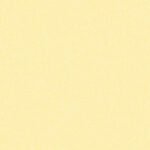 Linen Edition-9 - Image 5