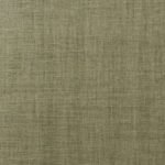 Basmati - Image 13