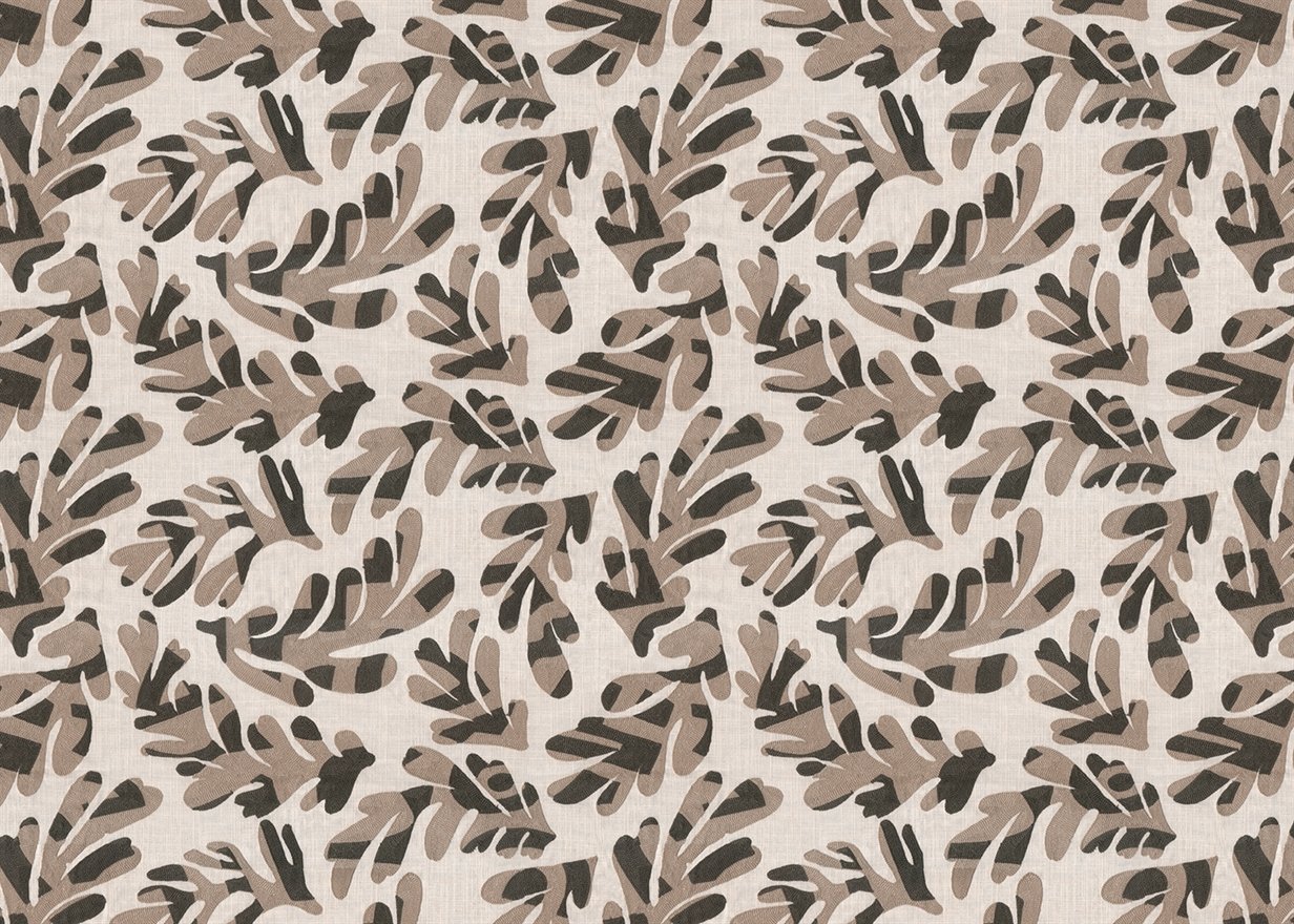 Aralia-Birch ARALIA – BIRCH - Image 1