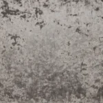 Duke - Image 10