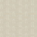 ORBIT – BIRCH