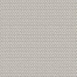 POLLOCK-FOG